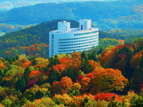 新富良野王子酒店