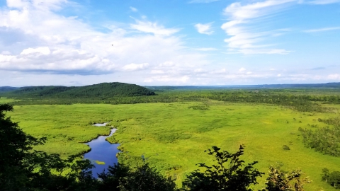 DAY 4 : 釧路湿原国立公園
