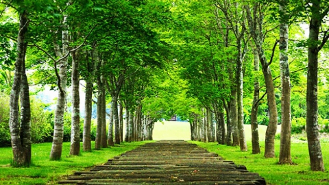 DAY 5 : 中札內美術村