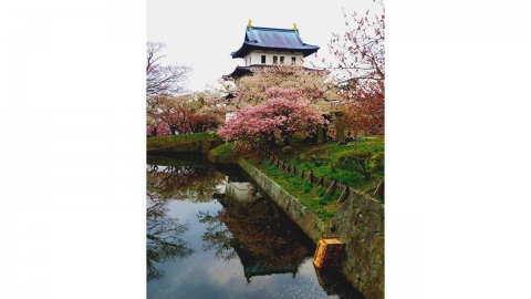 DAY 7 : 松前公園(北海道最南端)