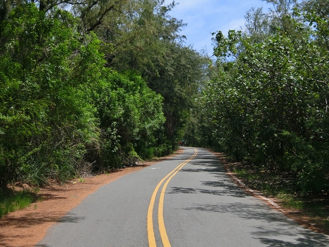 台海與濁水溪的記憶：彰雲小鎮信仰騎跡4日