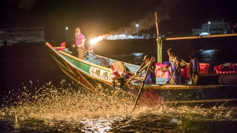 DAY 2 :金山磺火捕魚