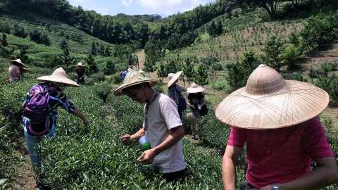 DAY 1 : 箴品茶研