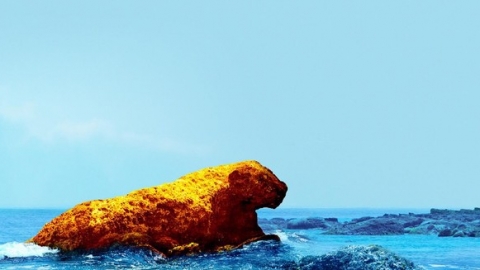 DAY 3 : 和平島公園