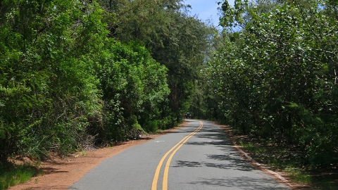 DAY 4：三條崙黑森林自行車道