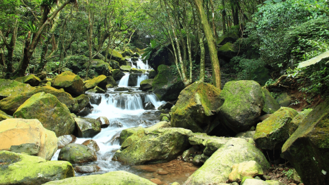 DAY 1 : 青山瀑布